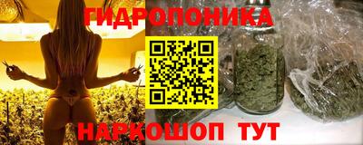 Альфа ПВП Кимры