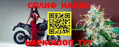 Альфа ПВП Кингисепп