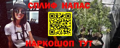 молекула духа Коммунар