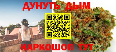 Альфа ПВП Кингисепп