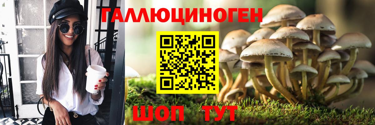 Псилоцибиновые грибы Psilocybine cubensis  Псилоцибиновые грибы мицелий  Ялуторовск  Вход с VPN 